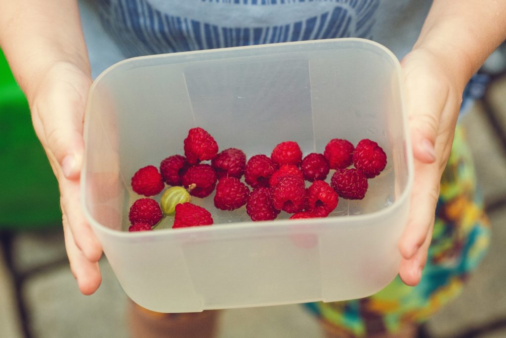 Food procurement in Copenhagen – for a healthy diet and a healthy climate