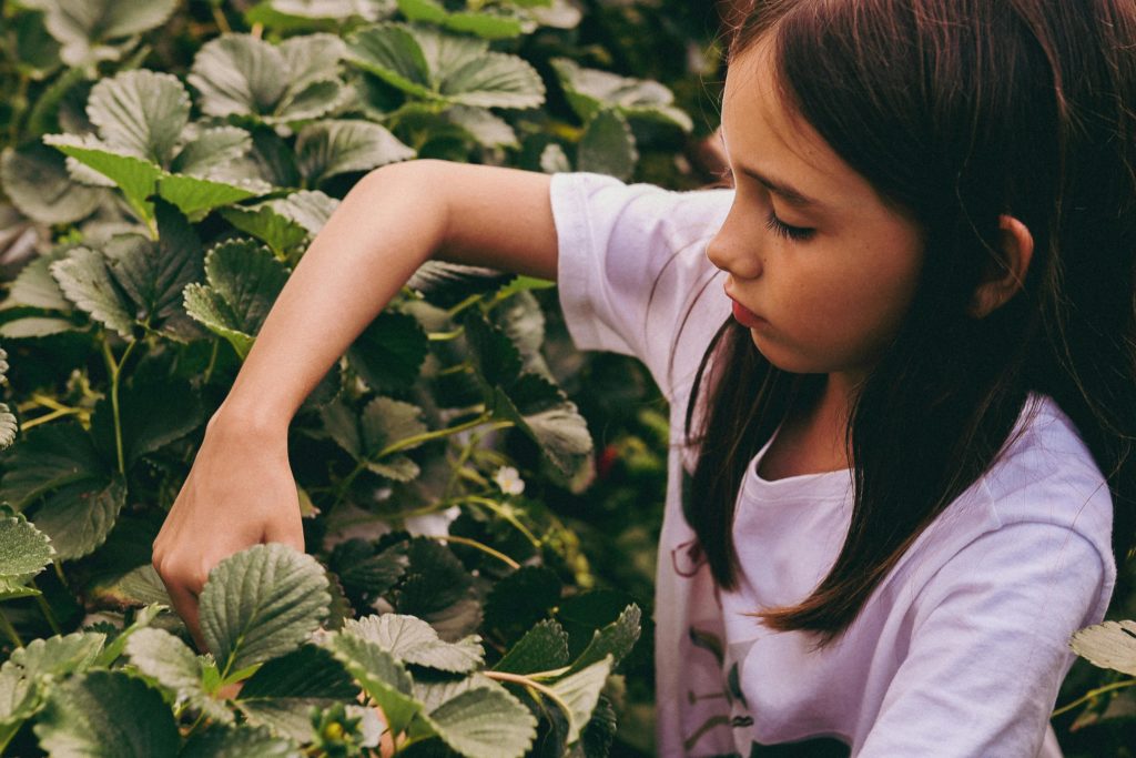 Reaching vulnerable groups through school food: insights from Professor Manuel Franco