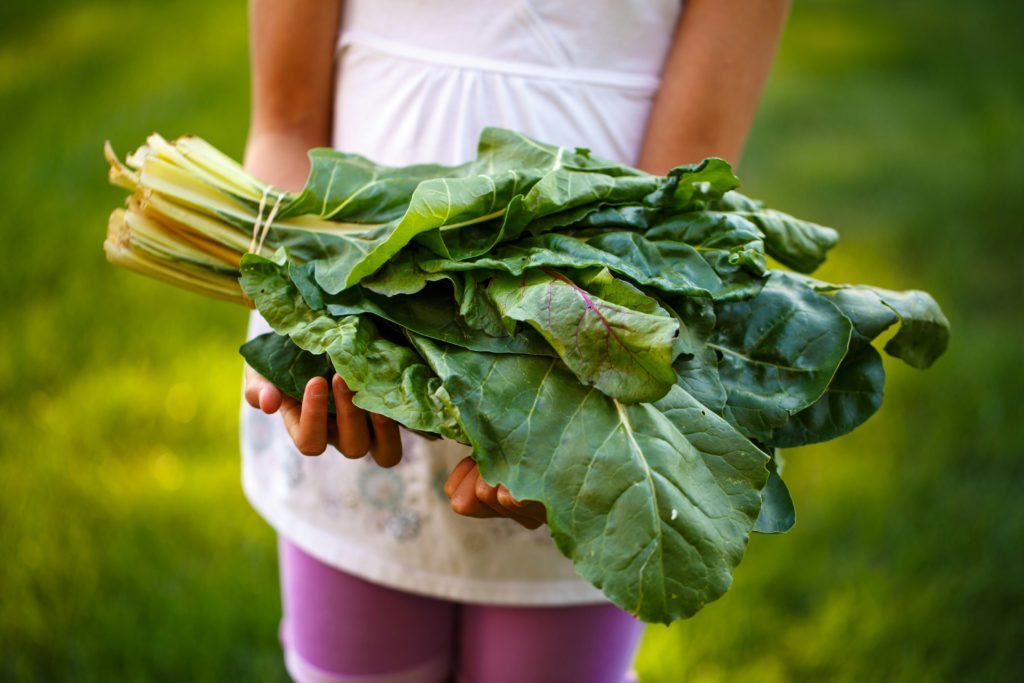 Celebrating the transformative power of tasty food 